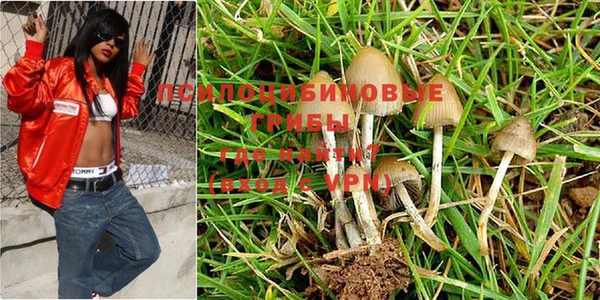 индика Абдулино