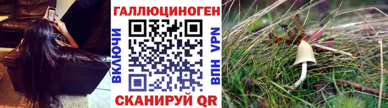Галлюциногенные грибы ЛСД Цоци-Юрт