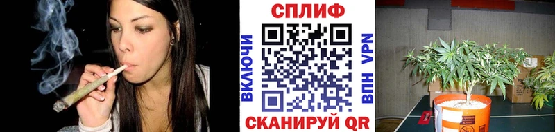 MEGA онион  сайты даркнета наркотические препараты  Каннабис гибрид  Цоци-Юрт 